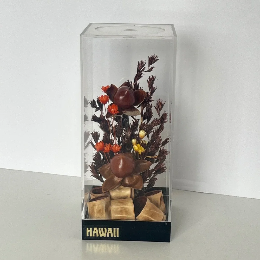 Vintage Hawaii Dried Baby Woodrose Volcano Uki Grass Acrylic Display Case 5.5